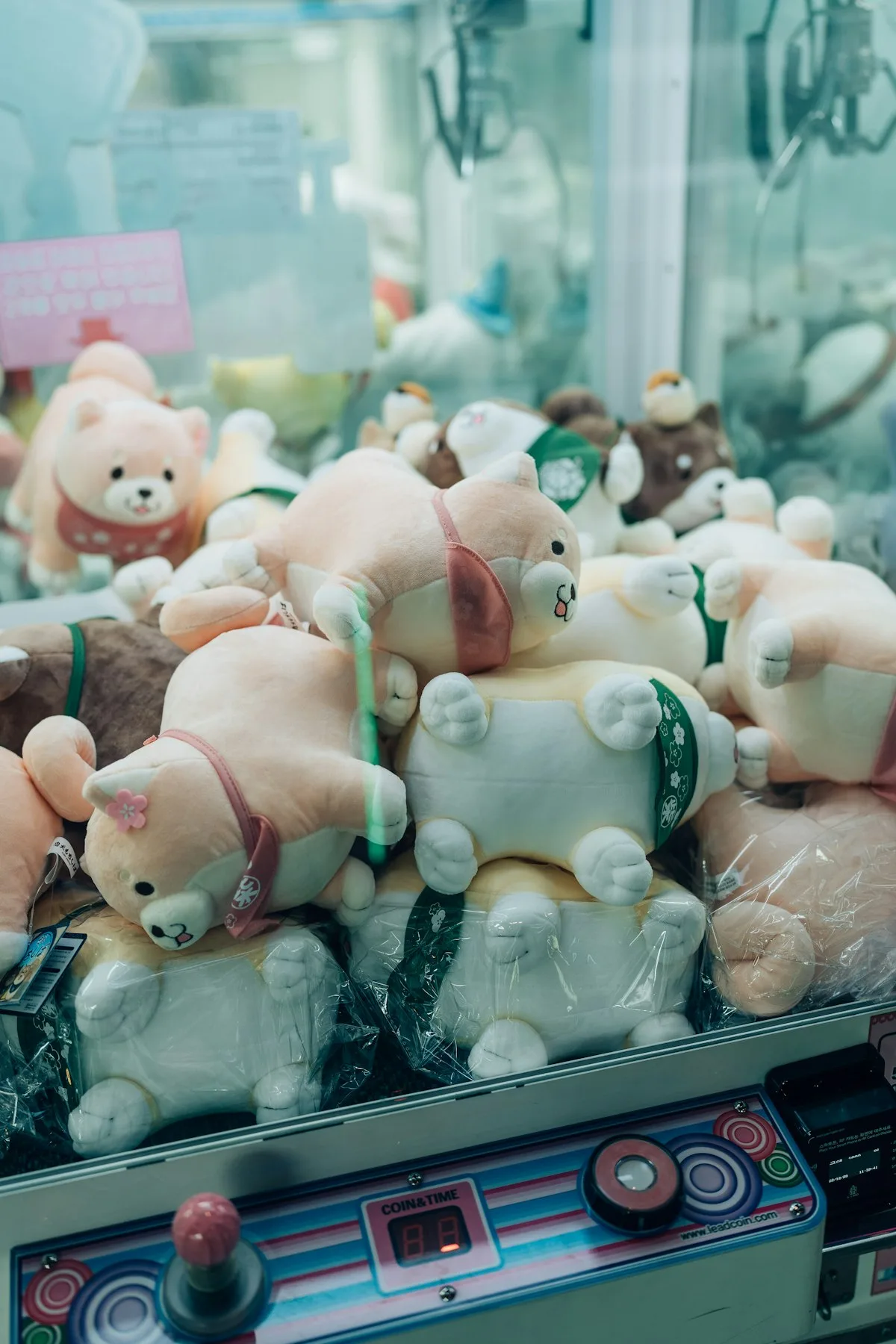 A Japanese gashapon machine full of capsule toys — the physical original that blind box apps digitize